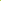 Yellow Chives 0.95-1.05 lb